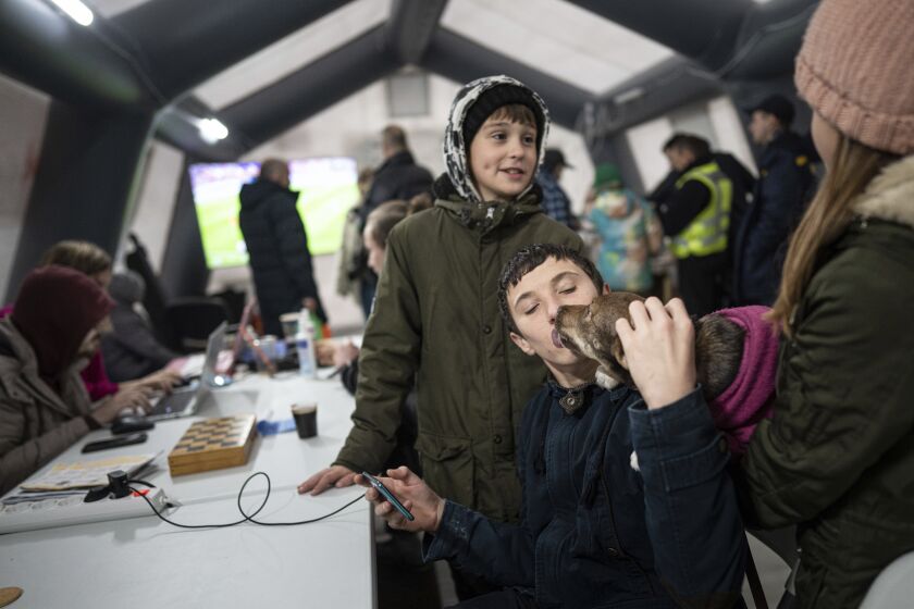 A boy kisses a dog while he charges his phone at the heating tent "Point of Invincibly" in Bucha, Ukraine, Monday, Nov. 28, 2022. (AP Photo/Evgeniy Maloletka)