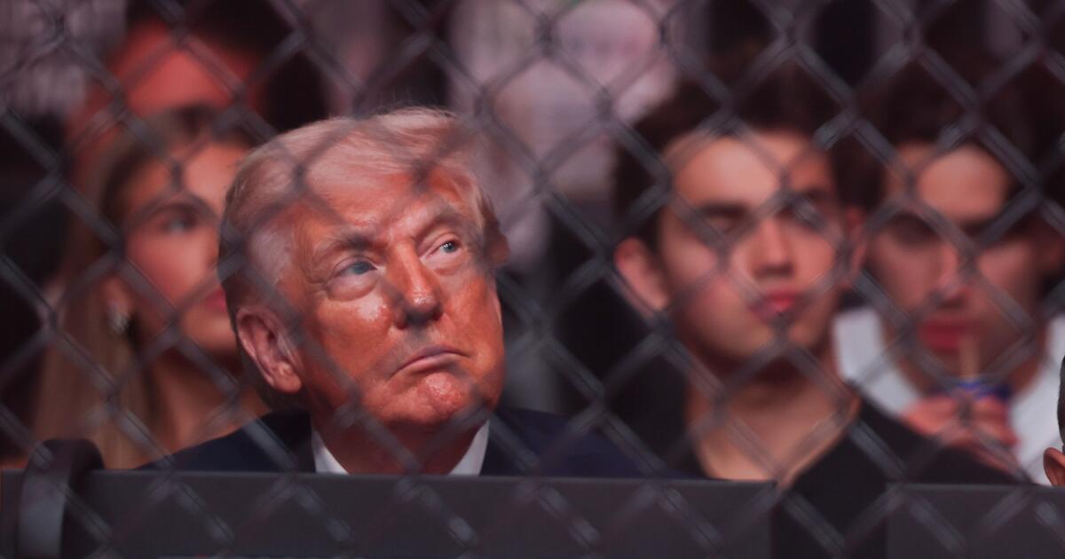 Les publicités de Trump « Louange à Allah » ? Ils sont juste différents