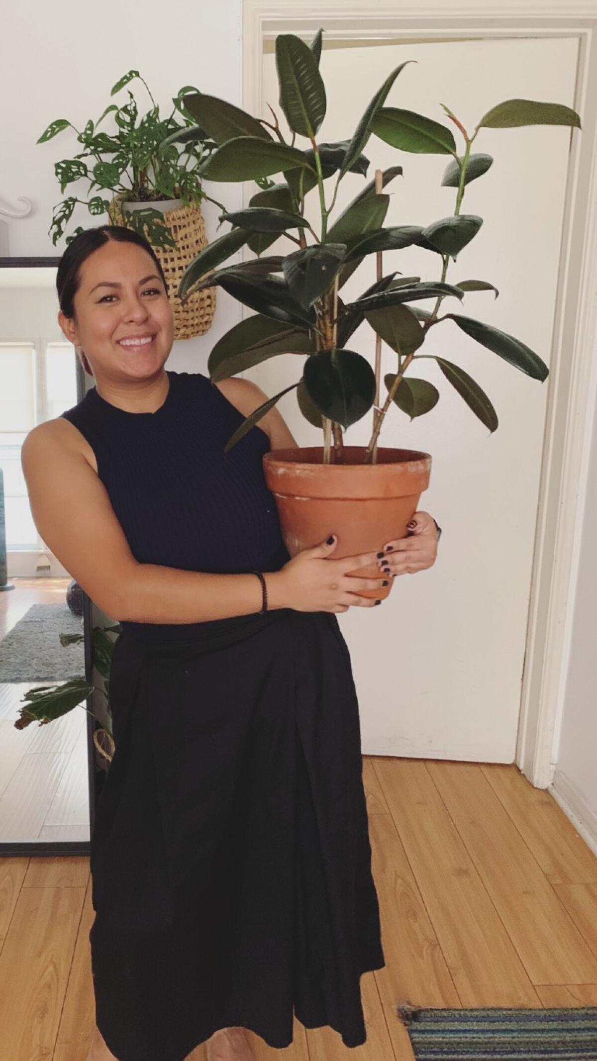 Reader Yamileth Hernandez with her rubber tree