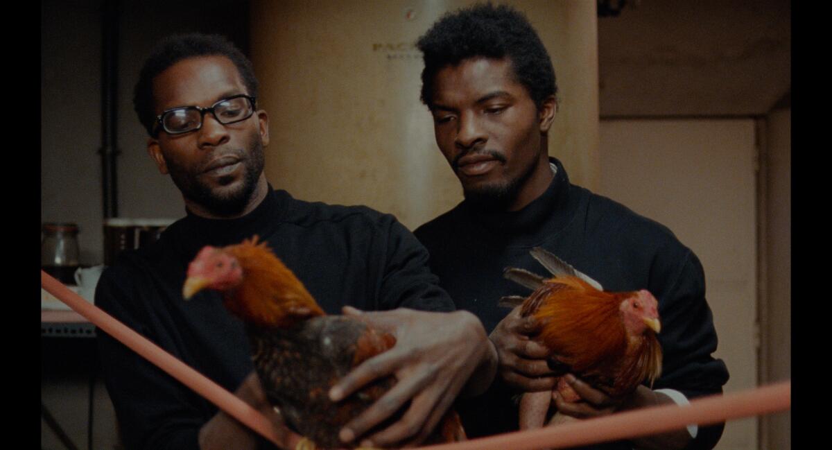 Two men hold fighting cocks.