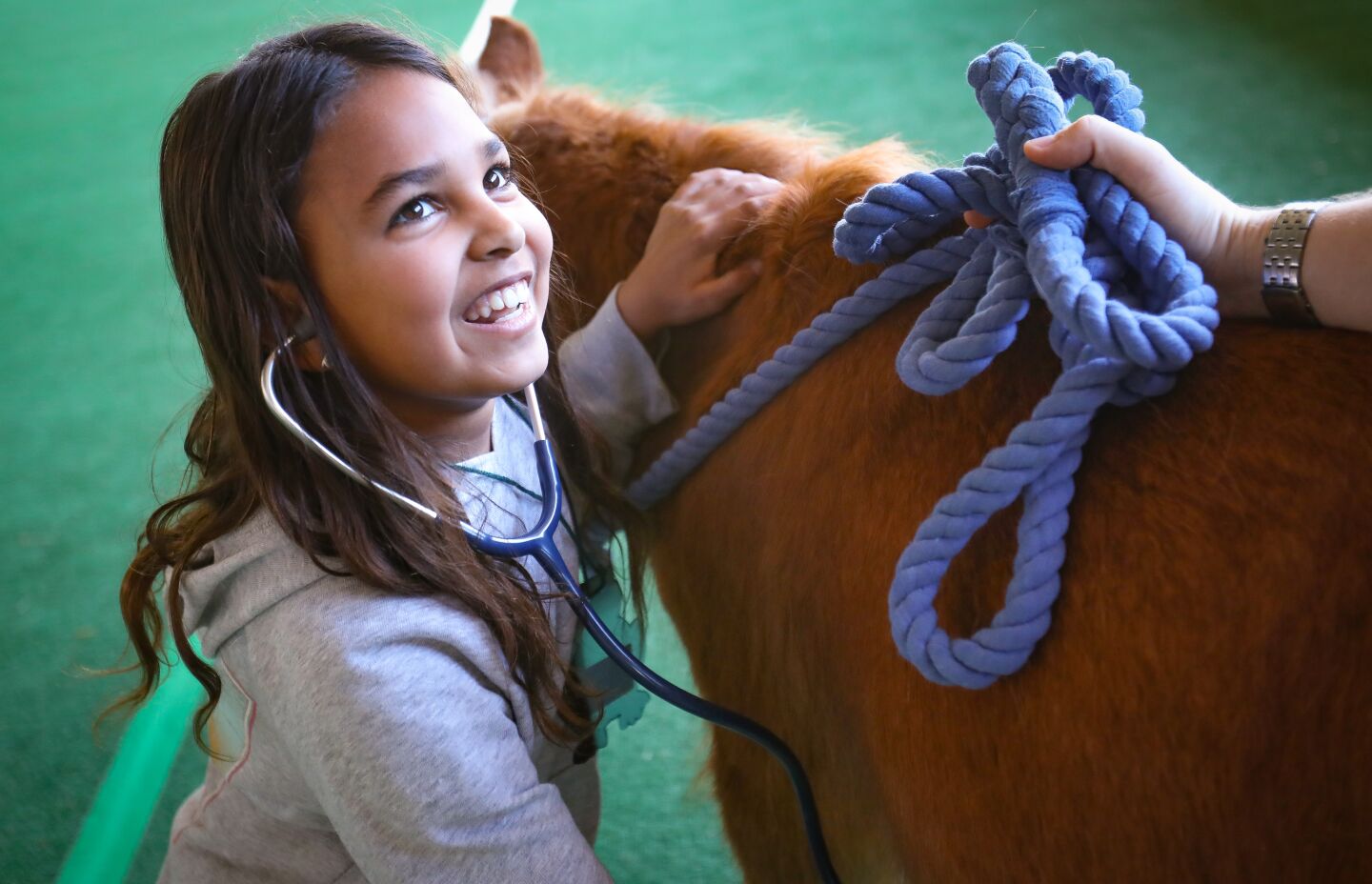 Sofia Otero, 9, uses a stethoscope to listen to the heart of Fable, a miniature horse, at the Helen Woodward Animal Center, during the one-day veterinarian camp, February 8, in Rancho Santa Fe.