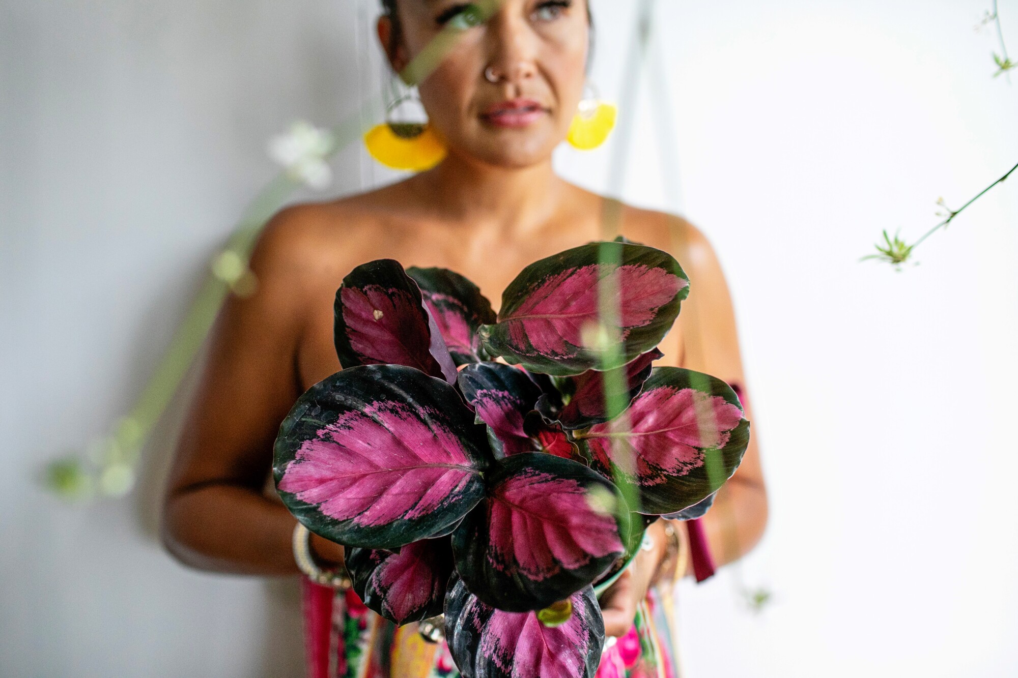 A woman holds a potted plant with pink and green leaves.