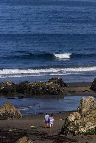 Carpinteria State Beach