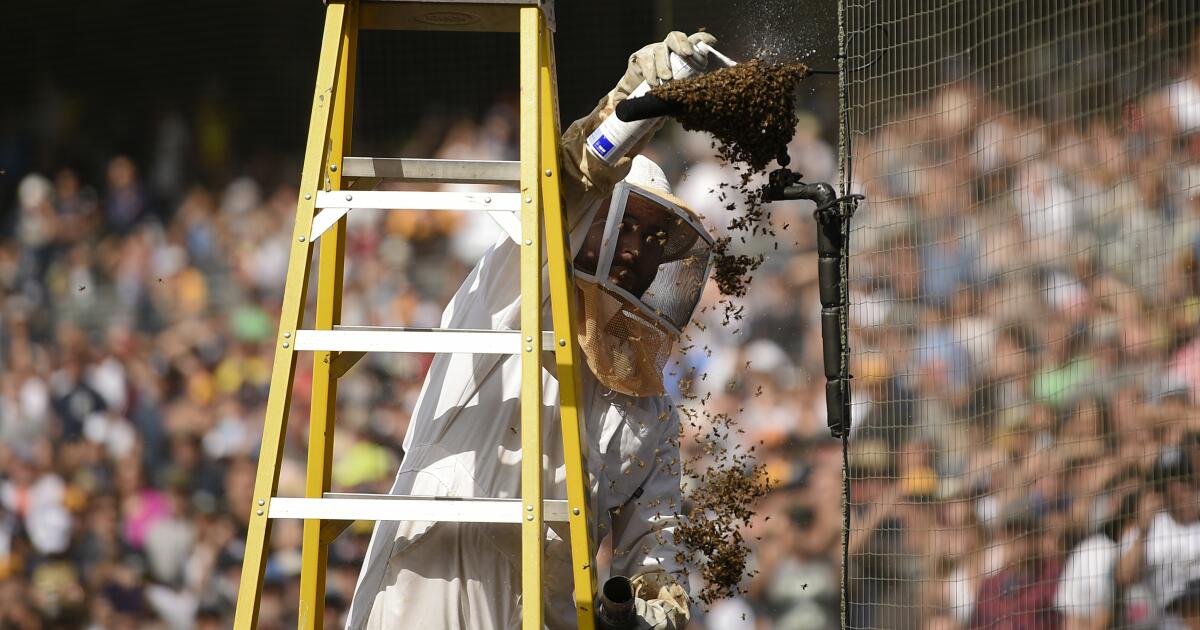 Padres Bring Their 'Bee' Game in Loss to Astros