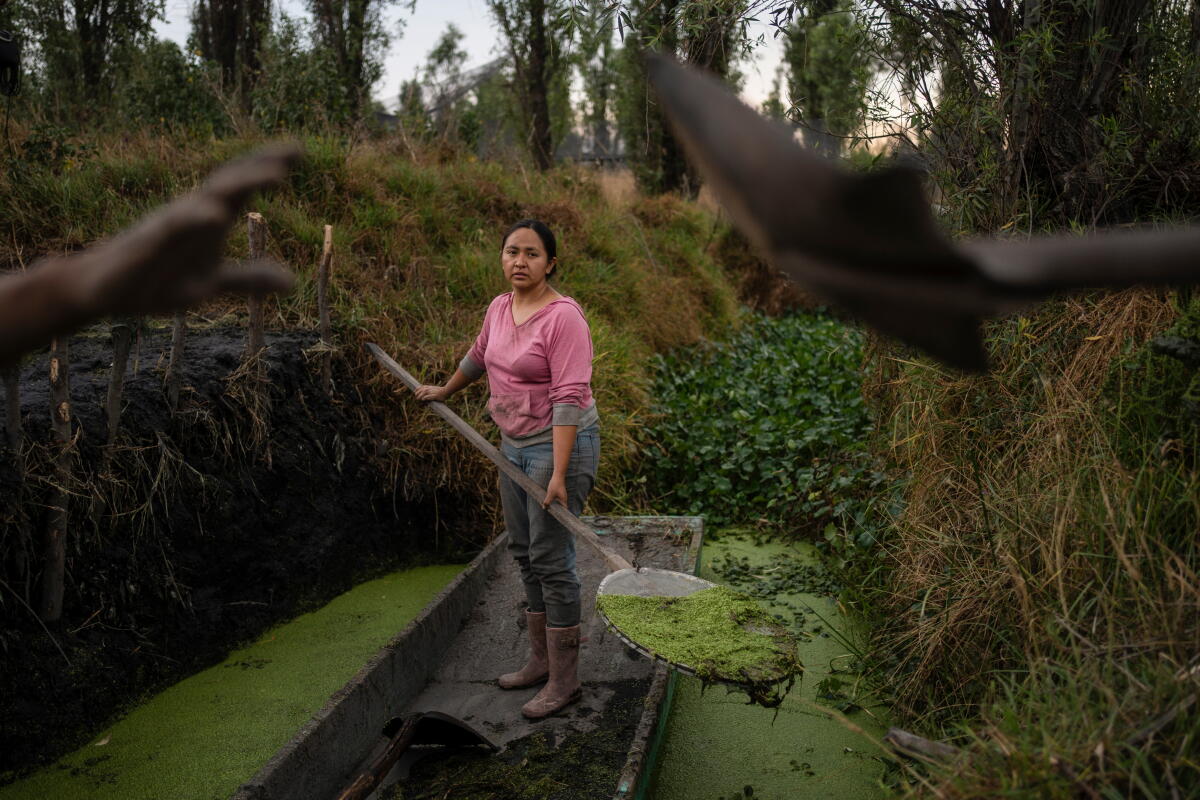 Aztec Ranch Women in Mexico step up to protect ancient Aztec farms and save a ...