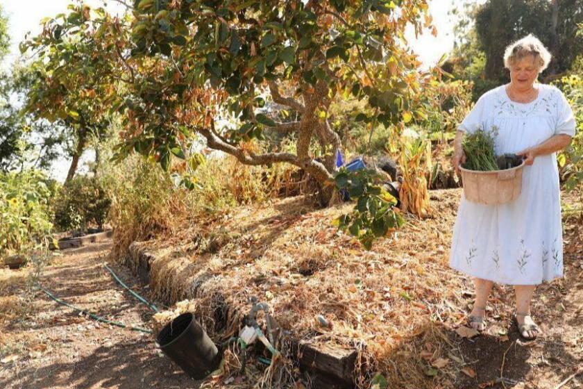 PASADENA-CA-JULY 19, 2018: Master gardener Yvonne Savio walks through her garden at home in Pasadena on Thursday, July 19, 2018. (Christina House / Los Angeles Times)