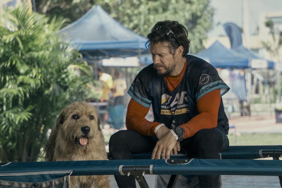 An man in a sports jersey sits with a shaggy dog.