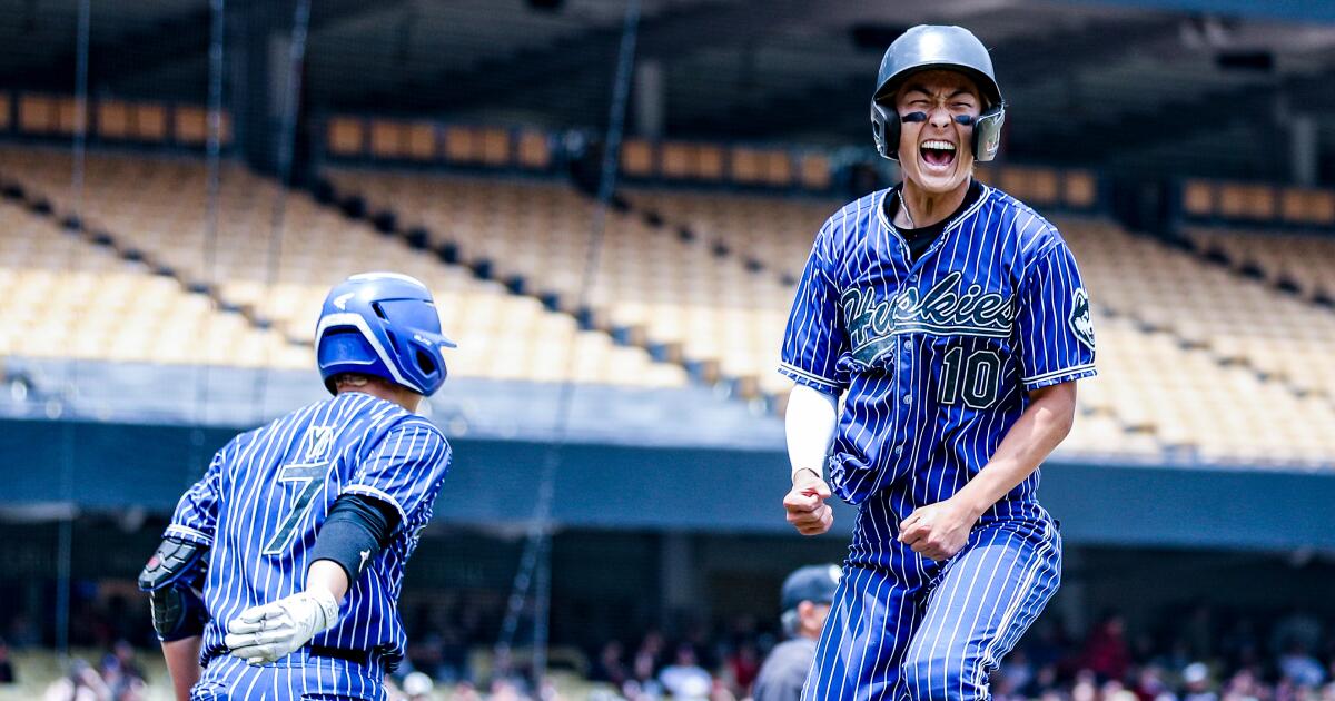 Nick Park helps win North Hollywood Division I baseball title