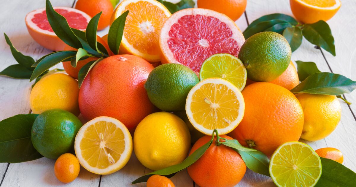 Gardening: The answer is citrus - Pomerado News