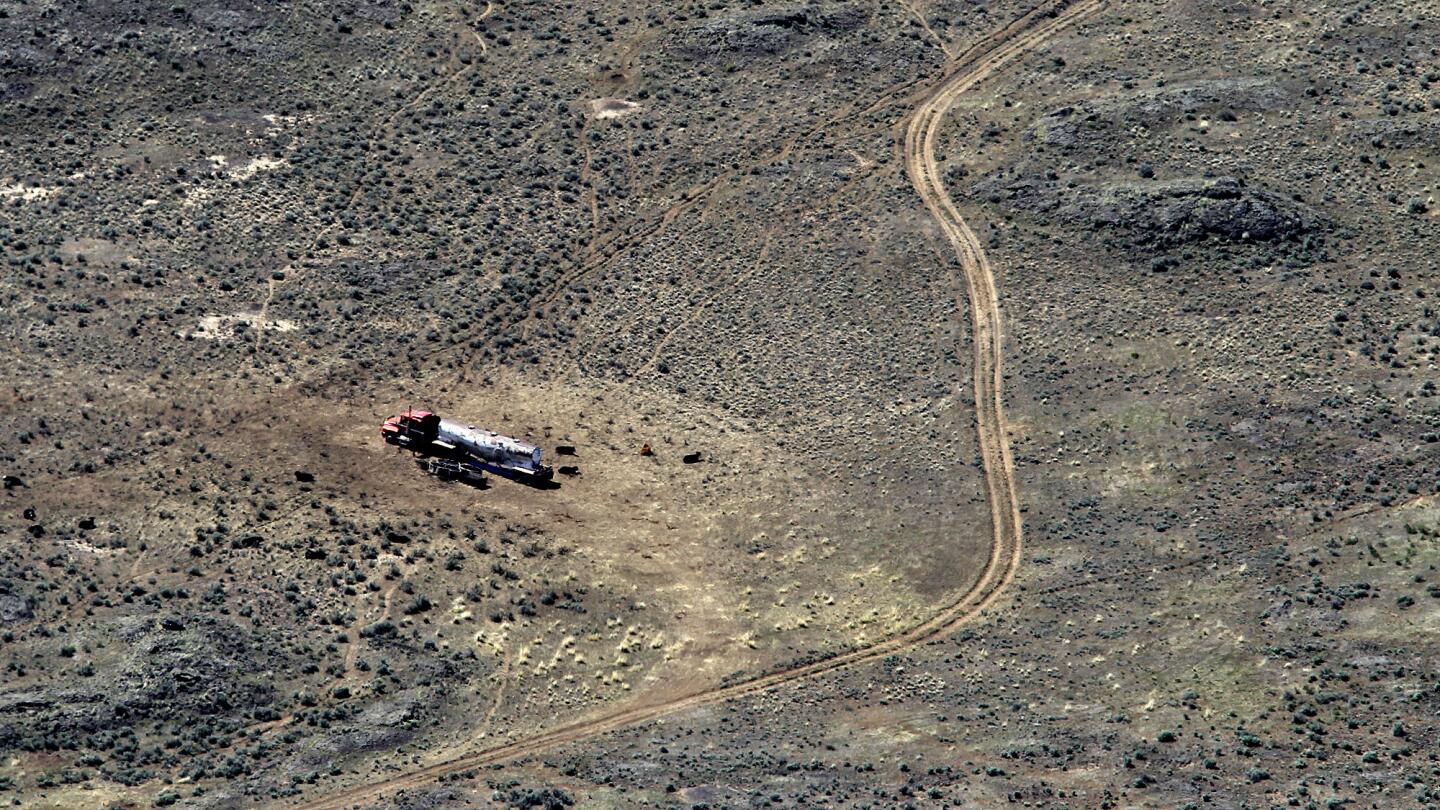 Drought grazing in the West