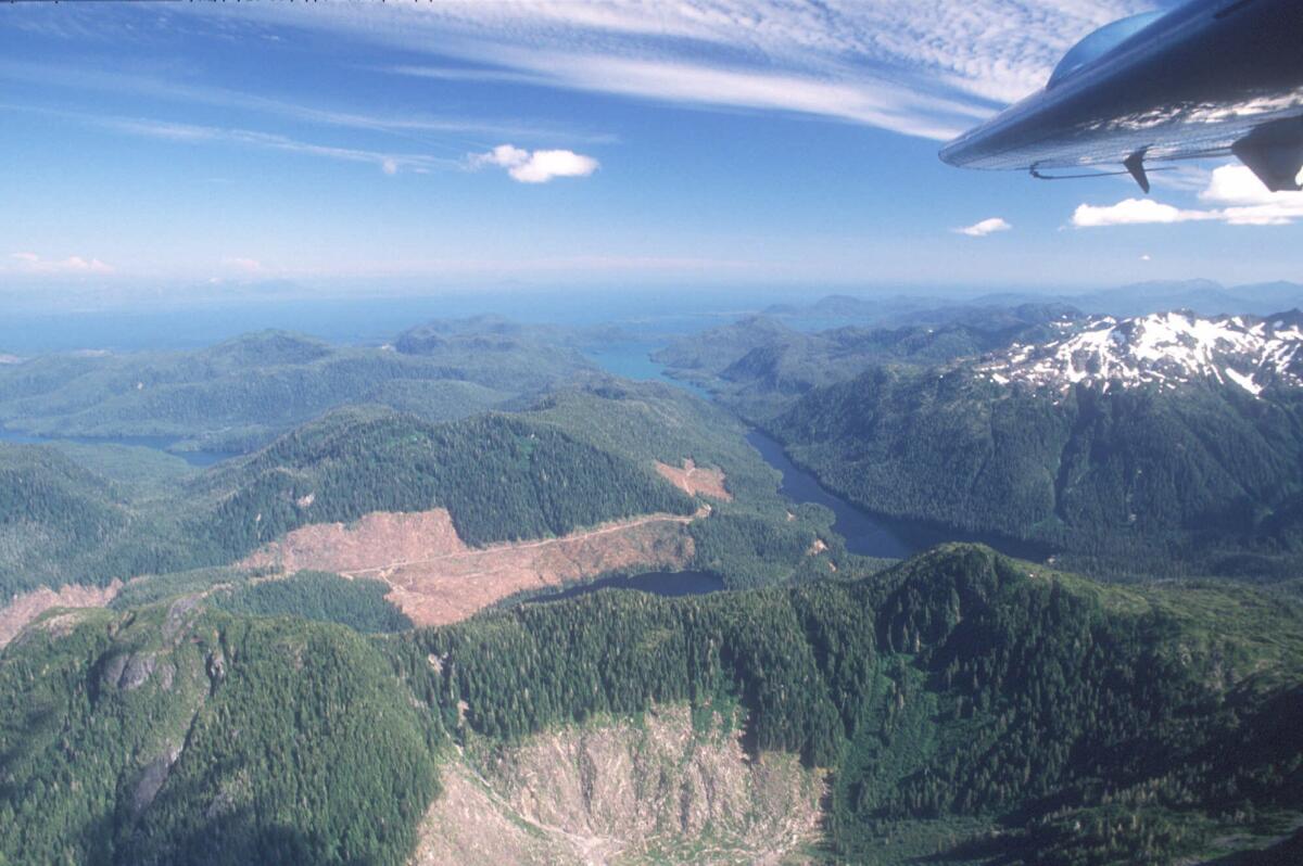 A 1990 photo shows Alaska's Tongass National Forest, where federal roadless protections will prevent logging and road building on about 2 million acres beyond what is already protected.