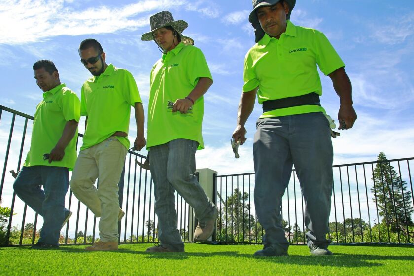 Workers from the Mission Valley-based company OmegaTurf walked on artificial grass to stretch it out as it was being installed at a home in La Jolla on March 17. / photo by K.C. Alfred * U-T San Diego