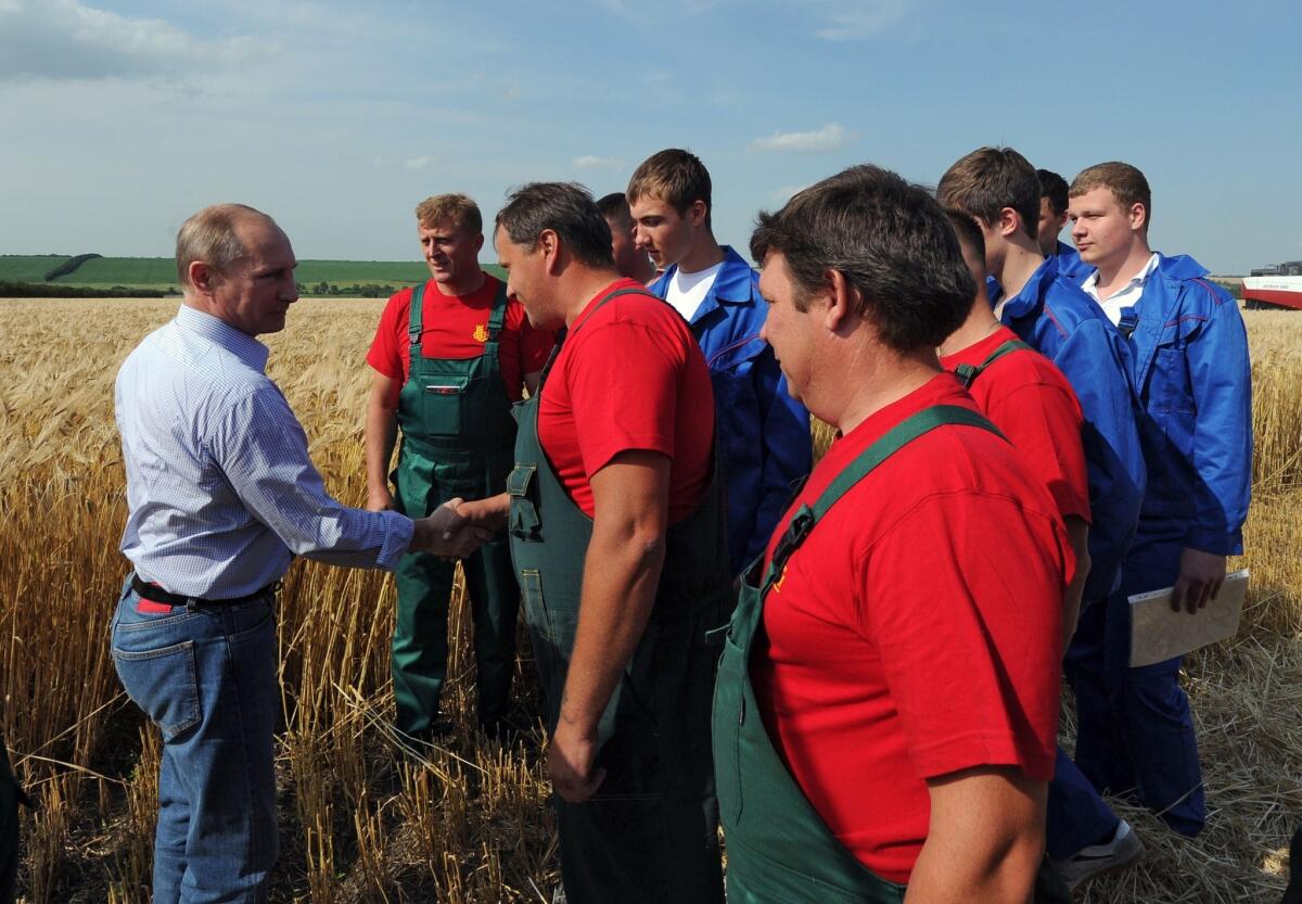 Russian President Vladimir Putin met with farm workers near Stavropol on Wednesday as part of his tour of agricultural enterprises and discussion of the trade consequences of Ukraine's plan to reorient its economy toward Europe.