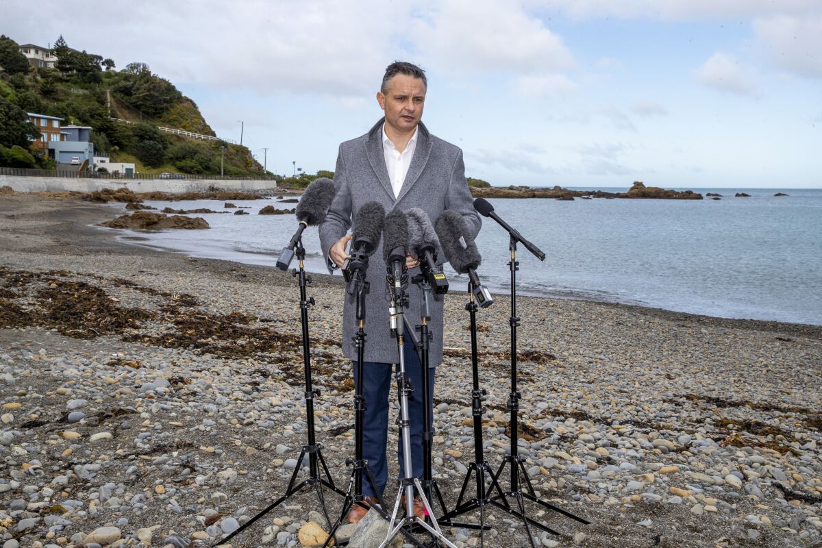 New Zealand Climate Change Minister James Shaw poses for a photo at Owhiro Bay beach in Wellington, New Zealand, Wednesday, Aug. 3, 2022. Shaw told reporters Wednesday that about 70,000 coastal homes in New Zealand were at risk from rising seas, and many more inland homes were at risk from flooding rivers. (Mark Mitchell/New Zealand Herald via AP)
