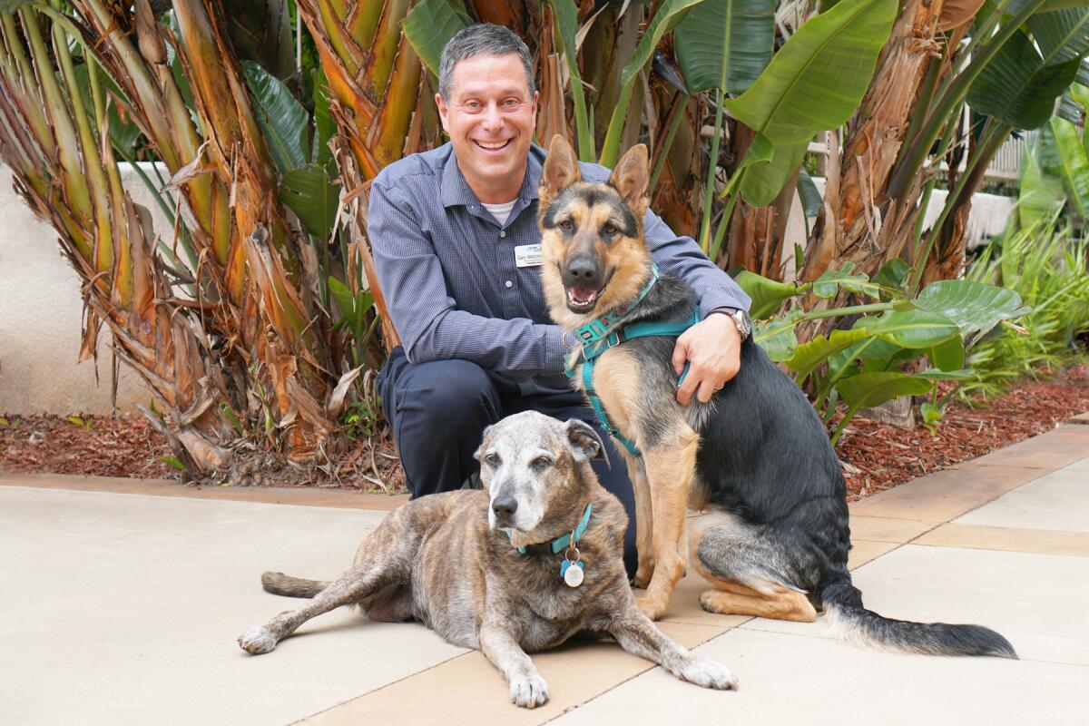 Dr. Gary Weitzman with Rosie and Betty.