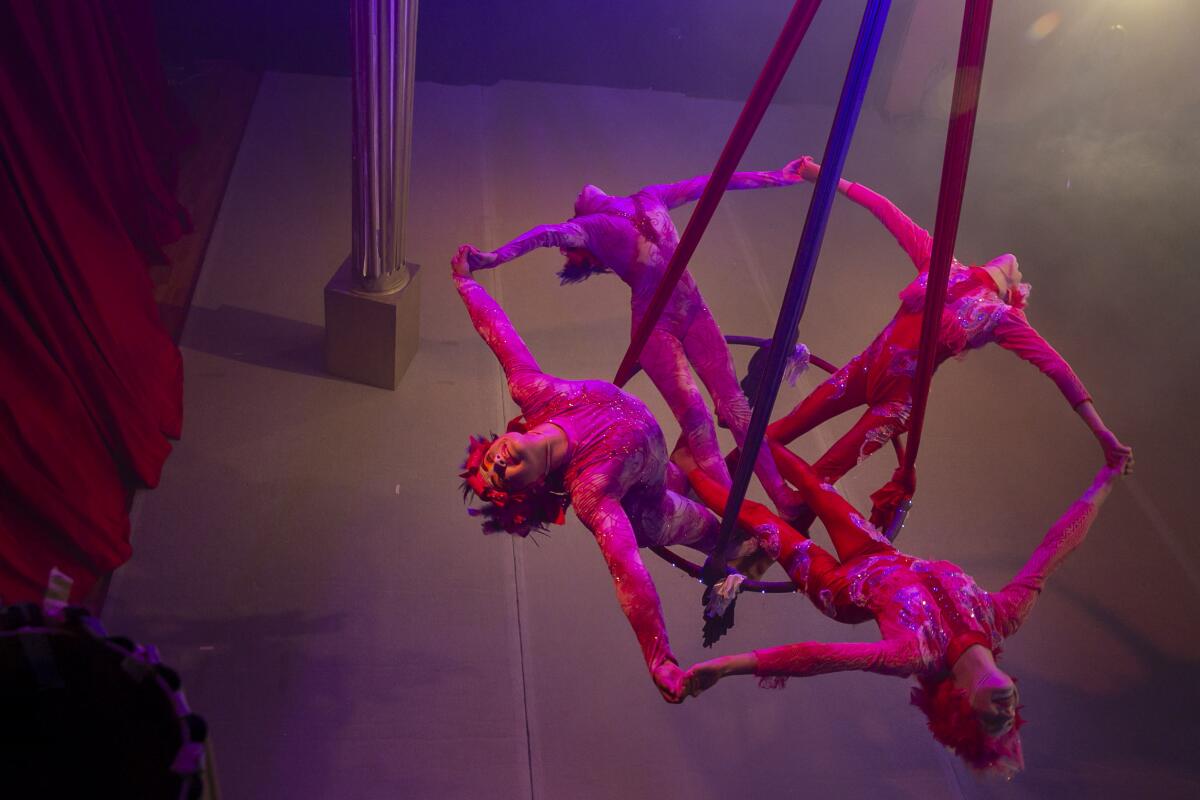 Le Petit Cirque performers do the Chandelier