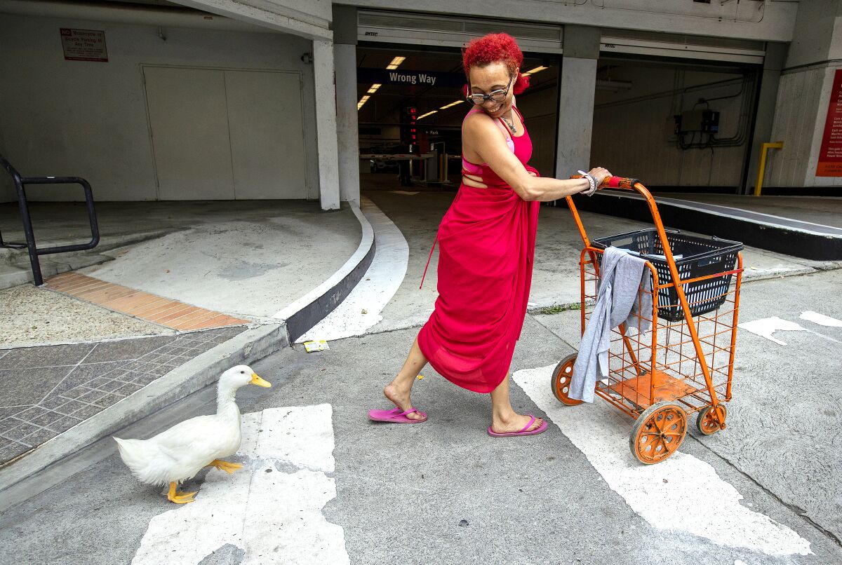 Autumn McWilliams walks along Grand Avenue in downtown Los Angeles with a Pekin duck she named Cardi D. 
