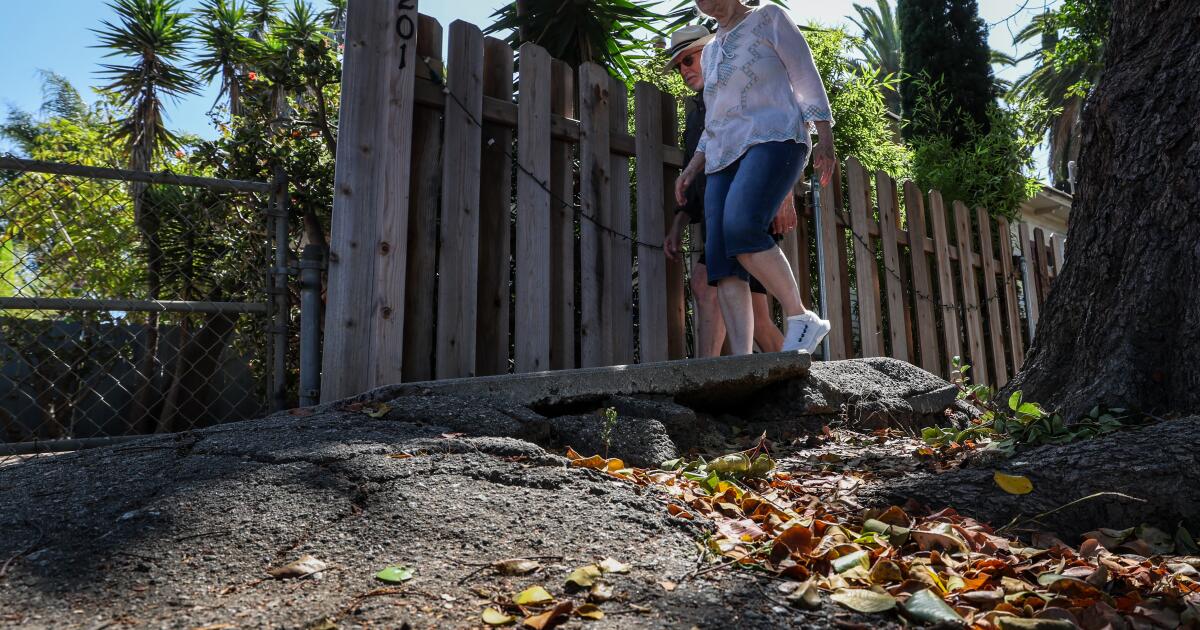 Los Angeles'ın tehlikeli kaldırımları beni toplu taşımayı bırakmaya zorladı