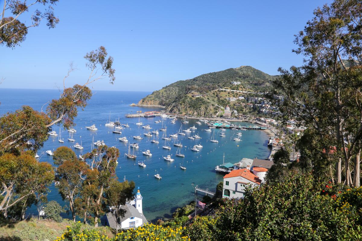 9 new and under-the-radar things to do in Avalon, Catalina Island ...
