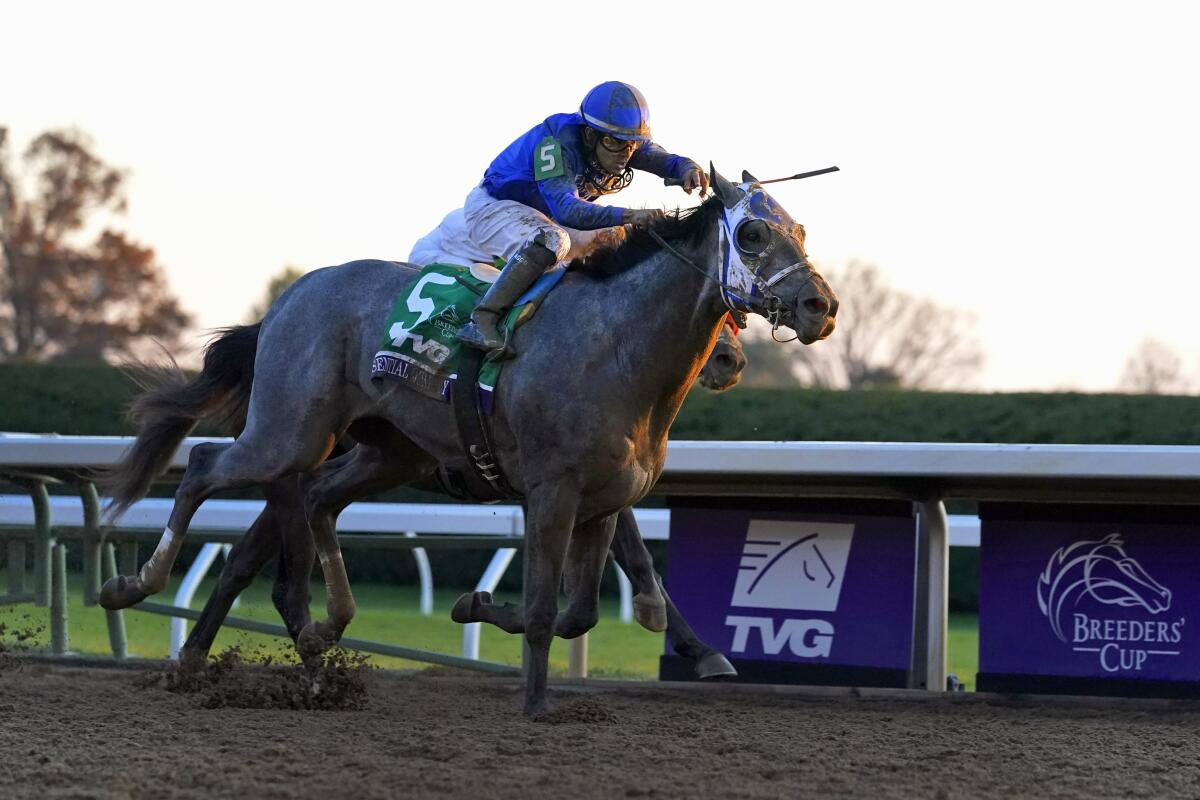Jockey Luis Saez rides Essential Quality to victory in the Breeders' Cup Juvenile on Nov. 6 in Lexington, Ky.