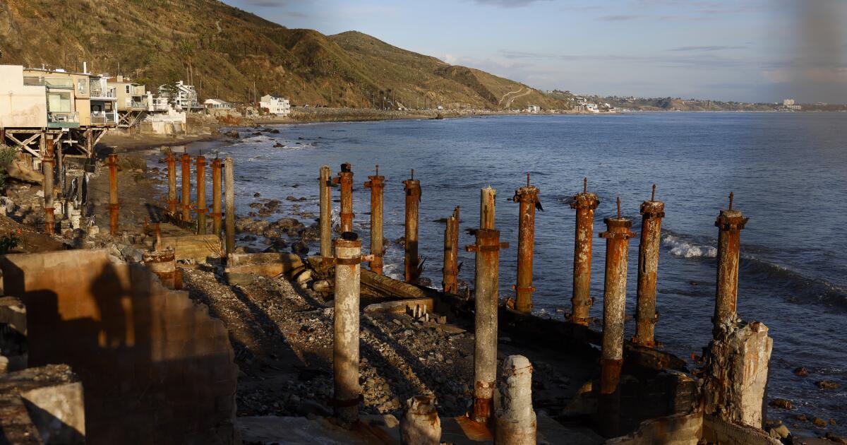 One 12 months after L.A. fires, readers weigh in on the restoration One 12 months after L.A. fires, readers weigh in on the restoration