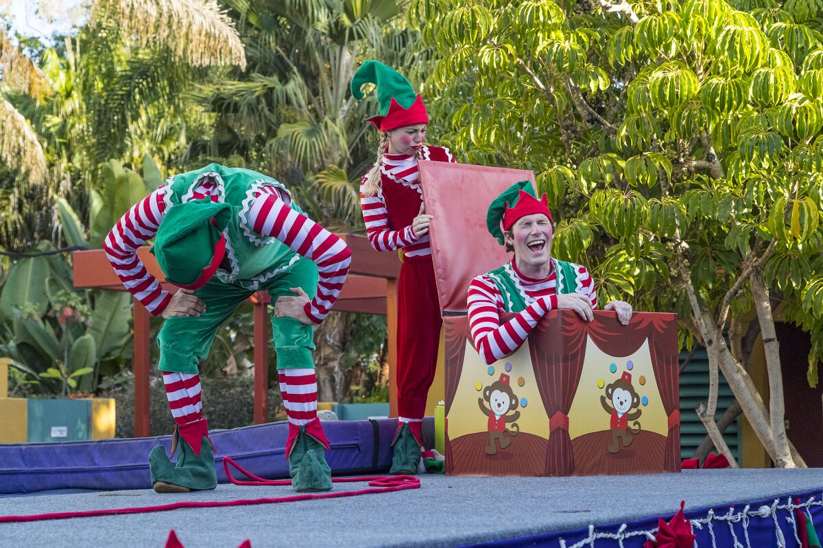 Santa's elves entertain audiences during the San Diego Zoo's Jungle Bells.