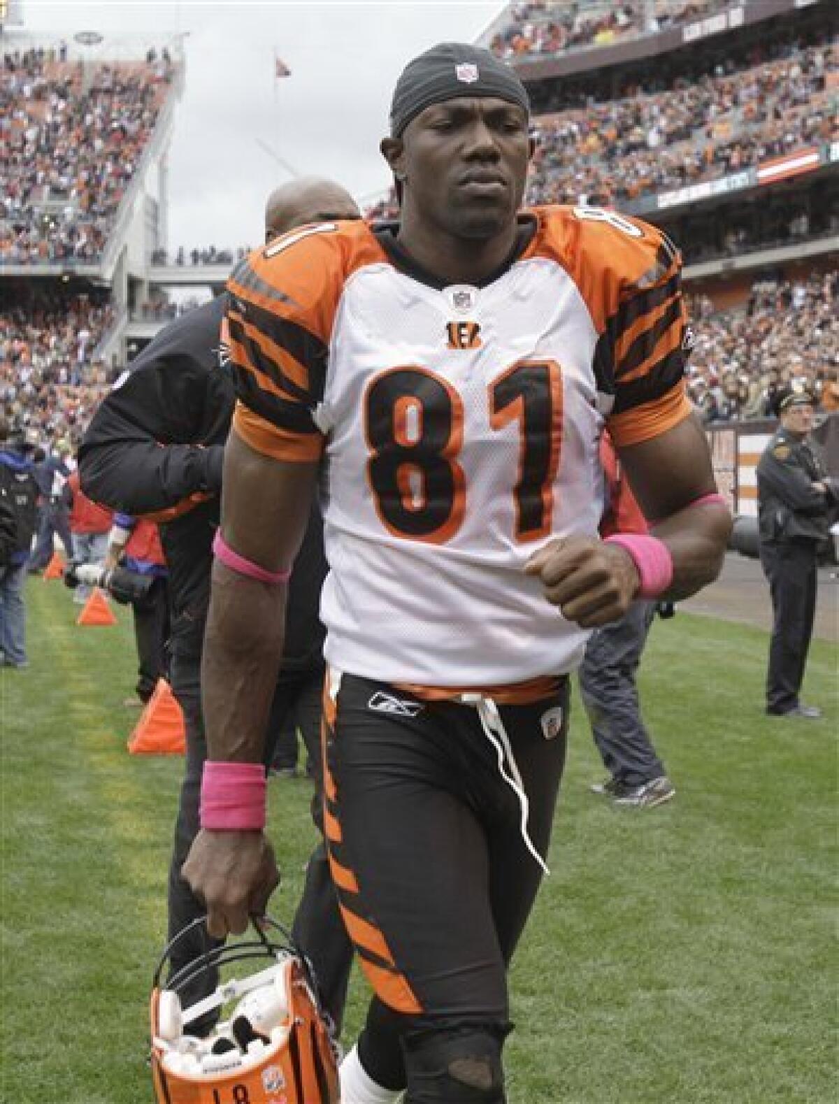 terrell owens bengals