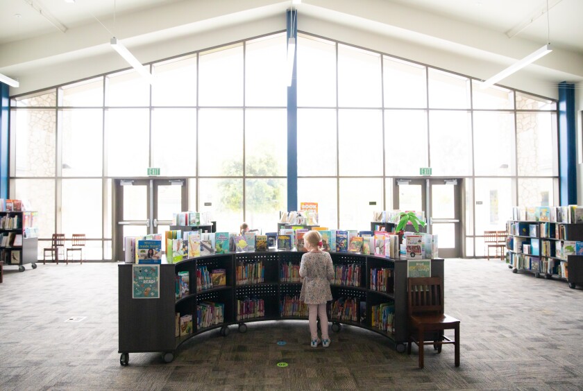 A student scans the shelves at the Solana Vista School Library.