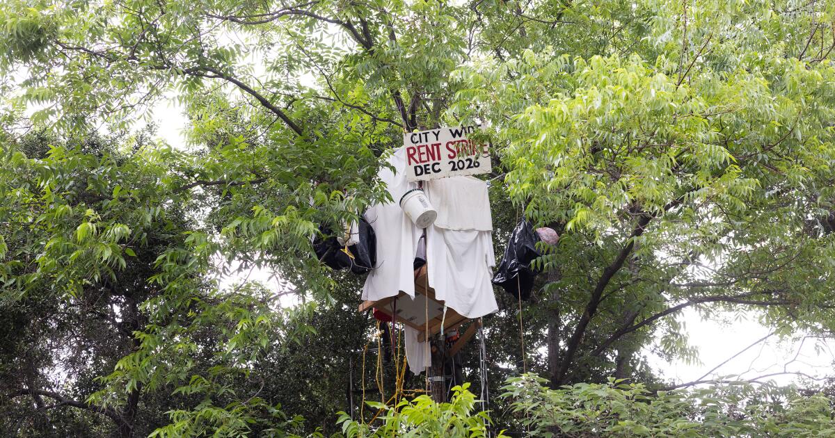 Elderly people build tree houses to protest the eviction of state-owned houses Elderly people build tree houses to protest the eviction of state-owned houses