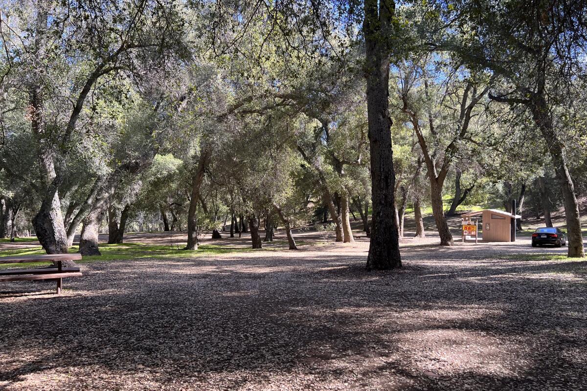The entrance to Aliso Park Campground is filled with tall shade trees