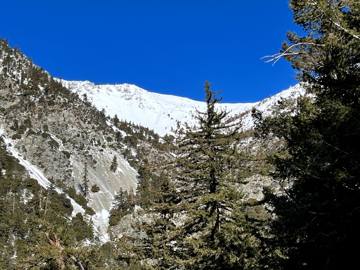 Baldy Bowl is seen blanketed in show and ice near the start of the most popular trail to the Mt. Baldy summit