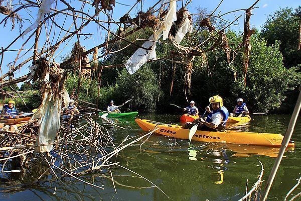 Trash bags hang from bushes along the Los Angeles River as kayakers from the L.A. Conservation Corps do an inspection tour.