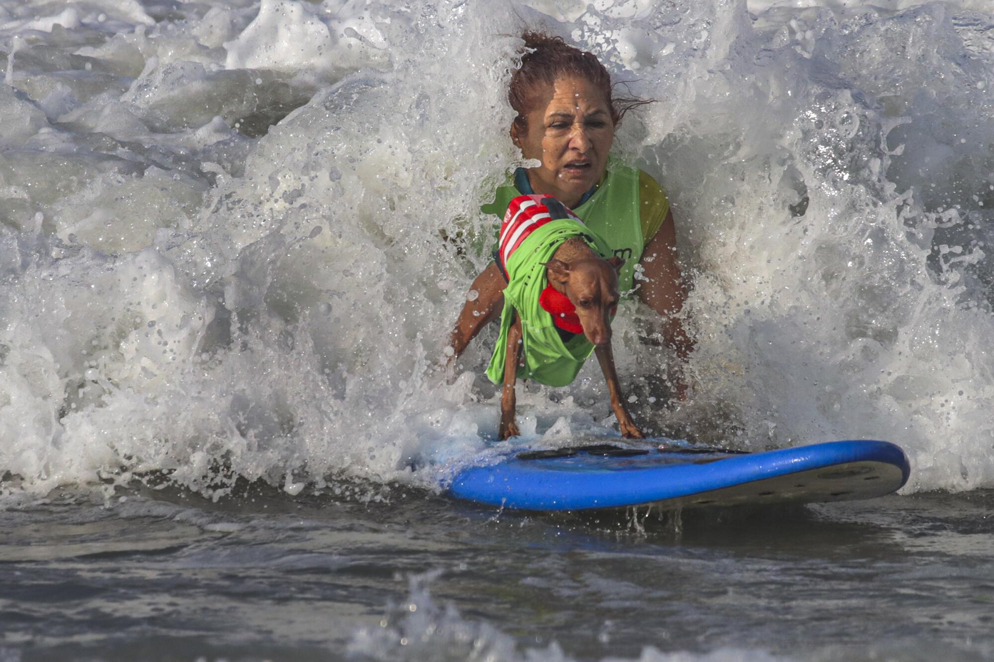 Sophia Sadlowski launches Rusty, a miniature pincher, on a wave