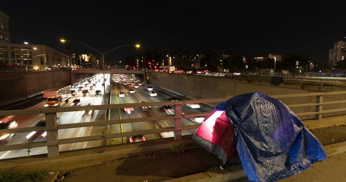 California Legislature calls for knowledge after homelessness audit