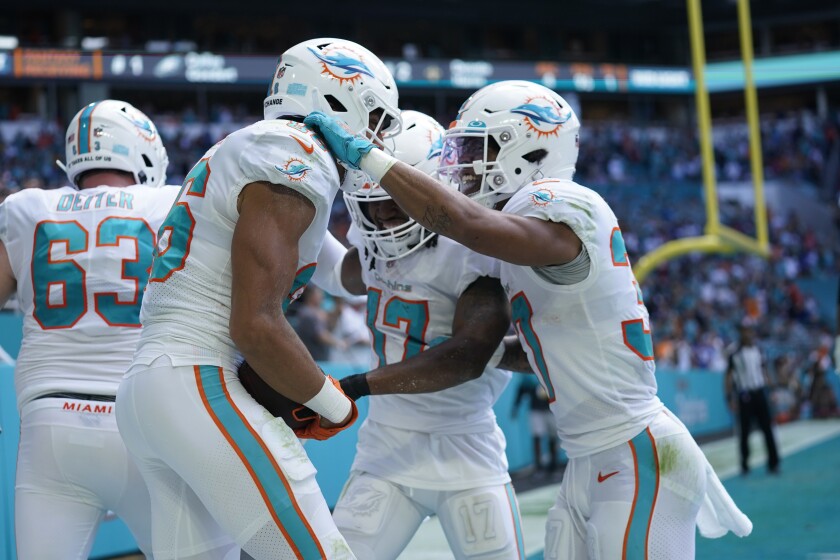 Miami Dolphins safety Jason McCourty (30) and wide receiver Jaylen Waddle (17) congratulate wide receiver Mack Hollins (86) after Hollins scored a touchdown during the first half of an NFL football game against the New York Giants, Sunday, Dec. 5, 2021, in Miami Gardens, Fla. (AP Photo/Lynne Sladky)