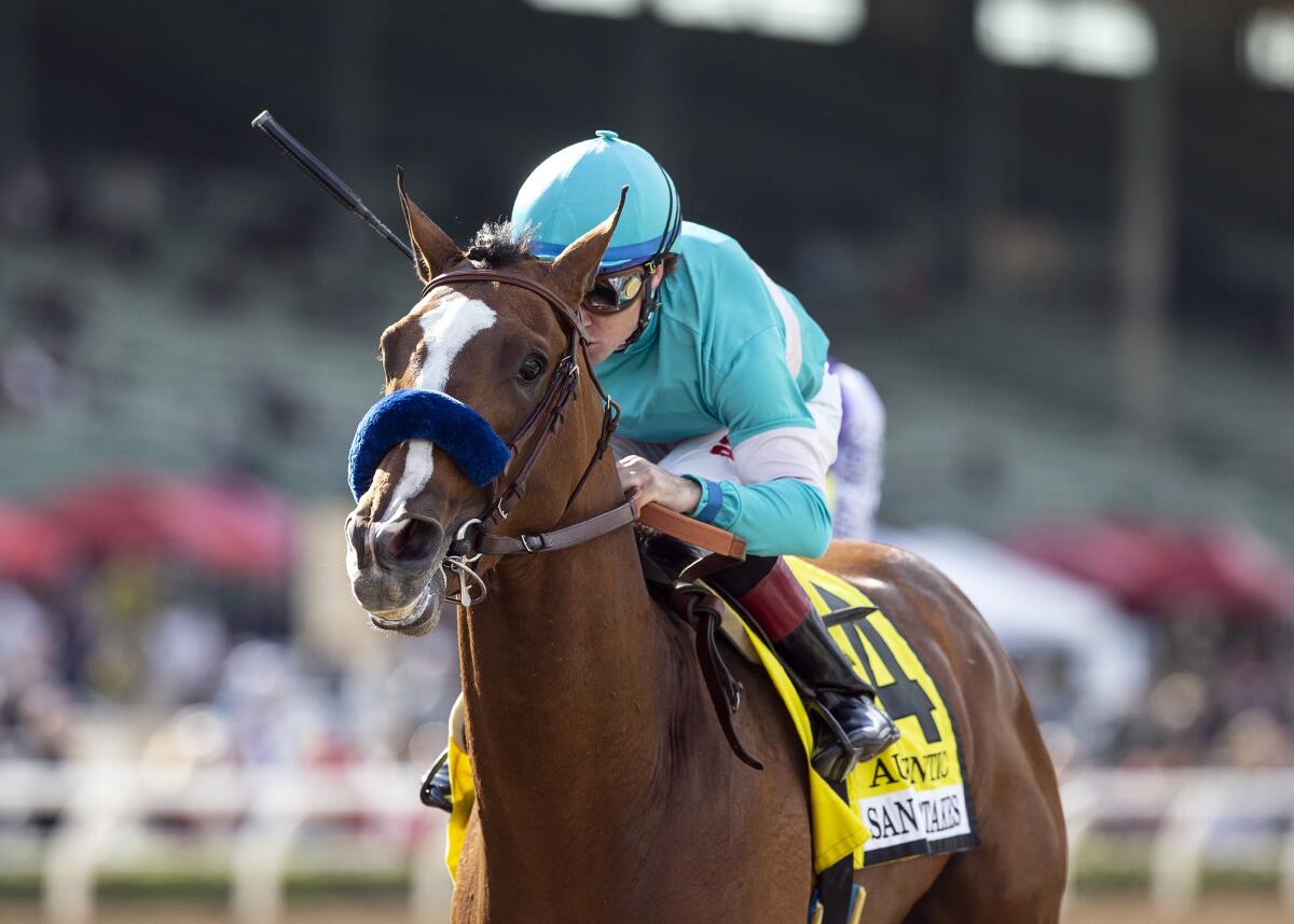 Authentic, with Drayden Van Dyke aboard, wins the Grade 2, $400,000 San Felipe Stakes on Saturday at Santa Anita.