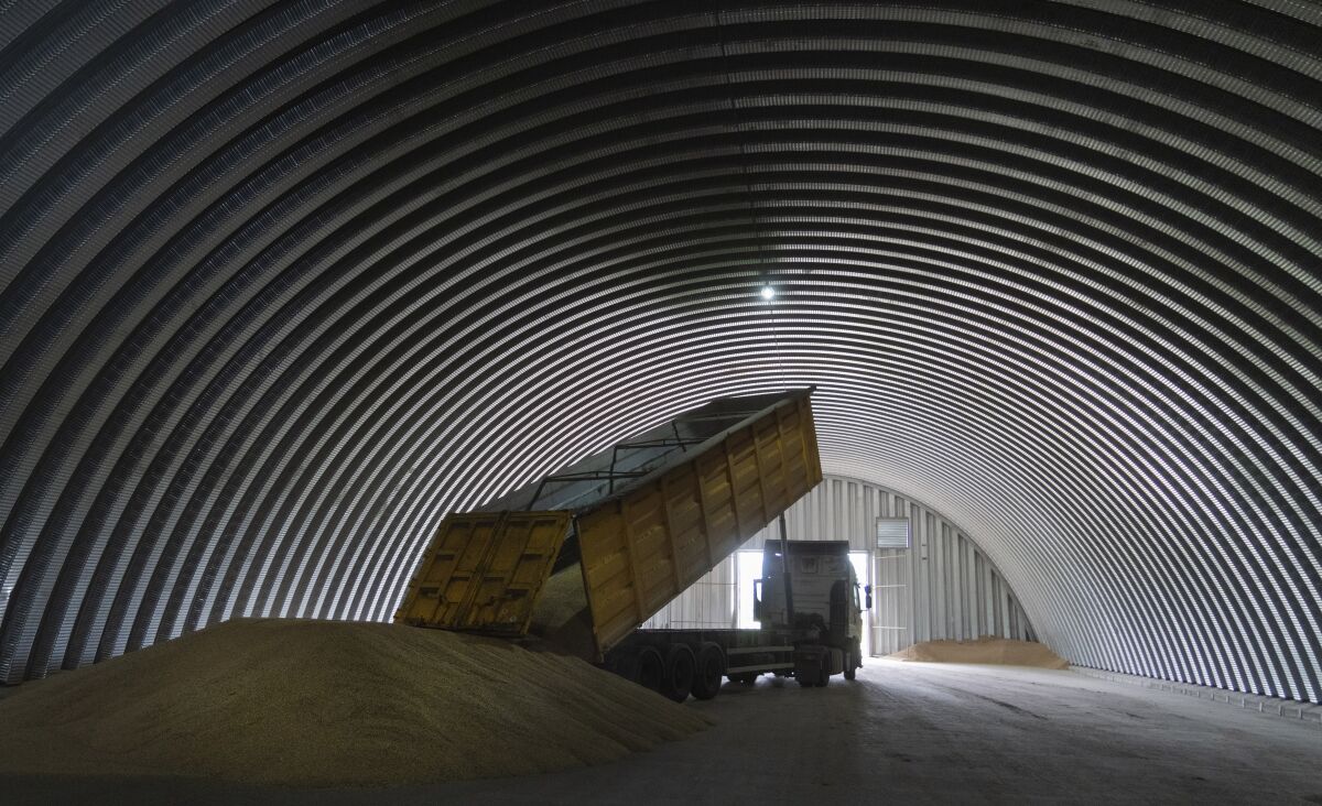 A dump track unloads grain in a granary in the village of Zghurivka, Ukraine.