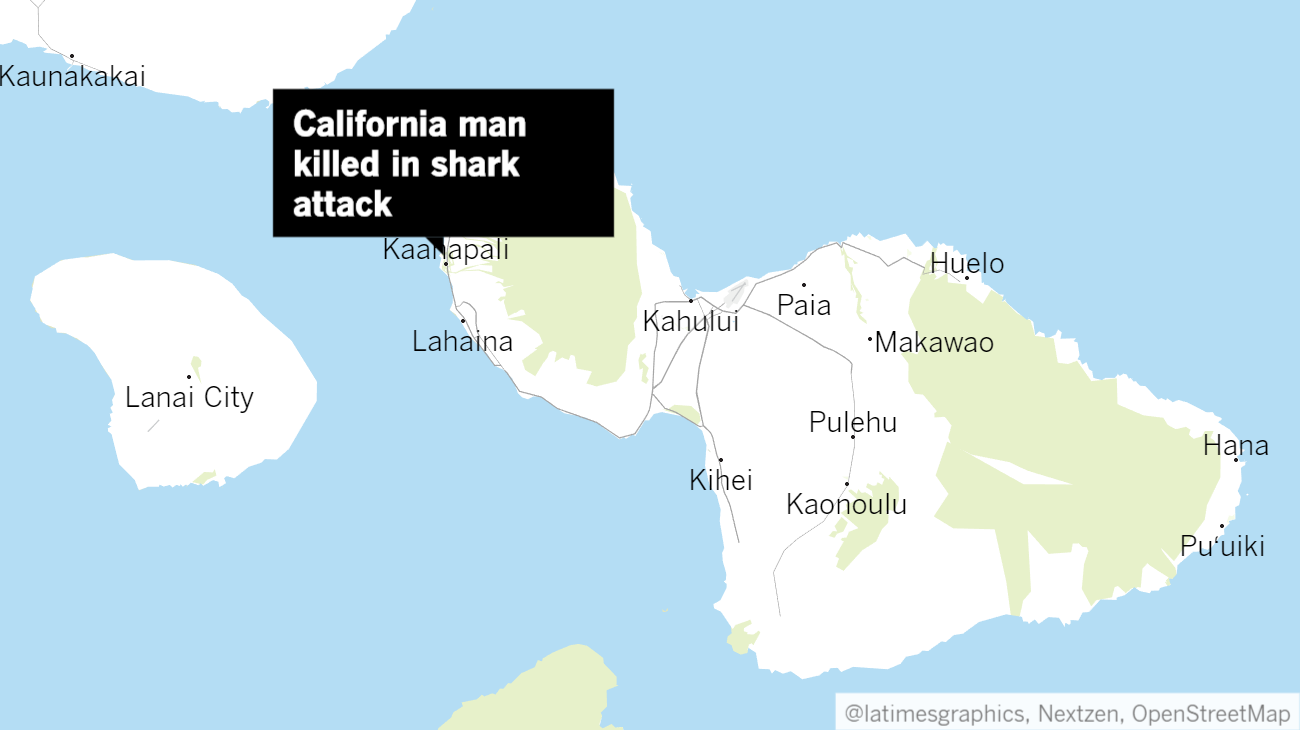 California Man 65 Killed In Shark Attack Off Maui Los Angeles Times