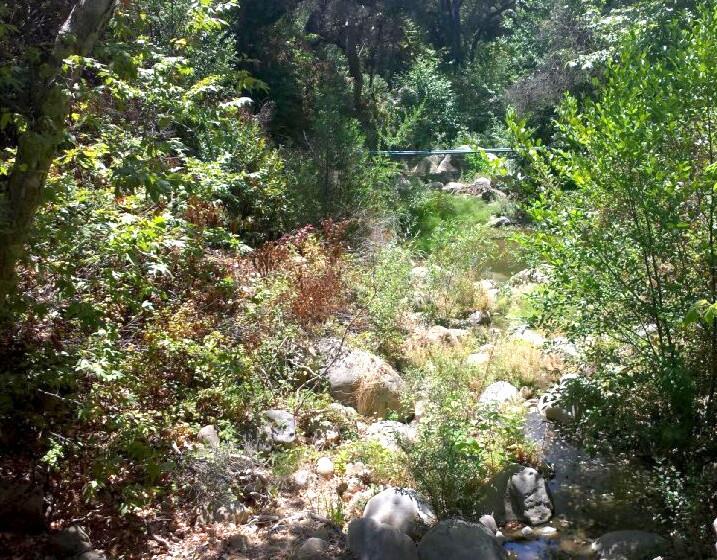 Santa Barbara Botanic Garden