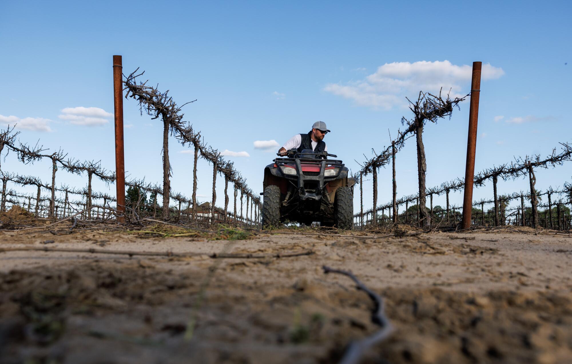 Fifth generation vineyard grower Greg Lauchland checks irrigation lines in the family's vineyard in Lodi.