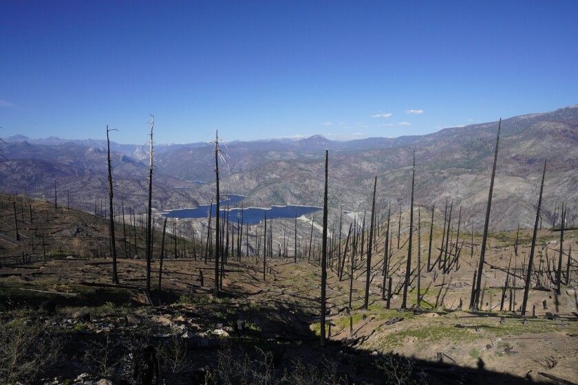 Sierra National Forest, CA., burned sections of the Creek Fire.