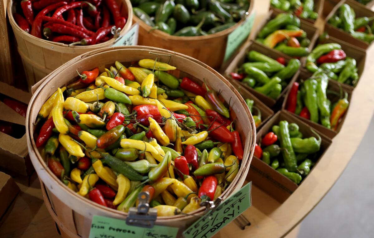 A variety of hot peppers at the Farm Stand in the Ecology Center in San Juan Capistrano. 