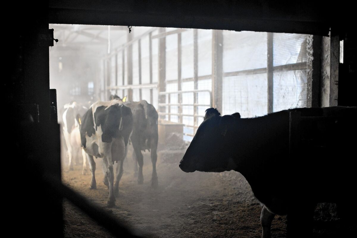 Illinois dairy farm