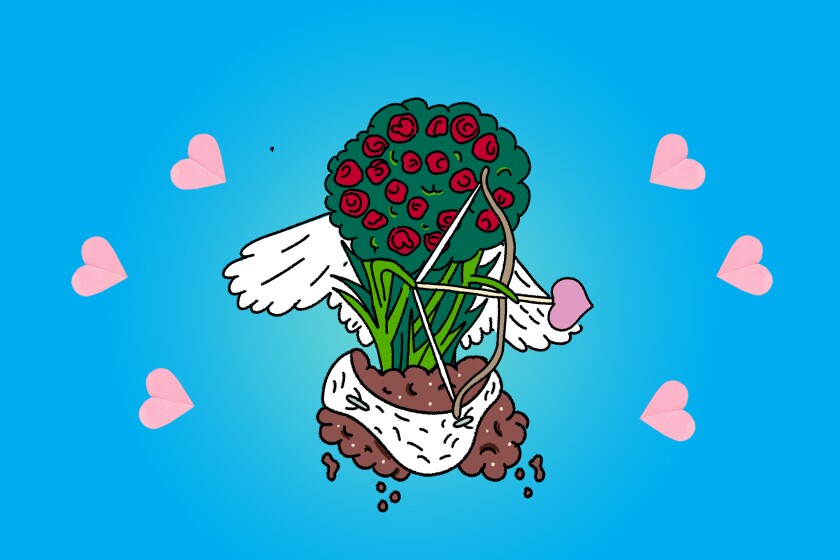 An illustration of a  bushel of roses dressed up as a cupid cherub.