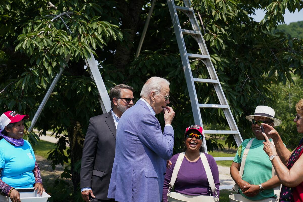 President Joe Biden eats a freshly picked cherry from a bucket while meeting with workers as he tours King Orchards fruit farm with Sen. Gary Peters, D-Mich., and Sen. Debbie Stabenow, D-Mich., right, Saturday, July 3, 2021, in Central Lake, Mich. (AP Photo/Alex Brandon)