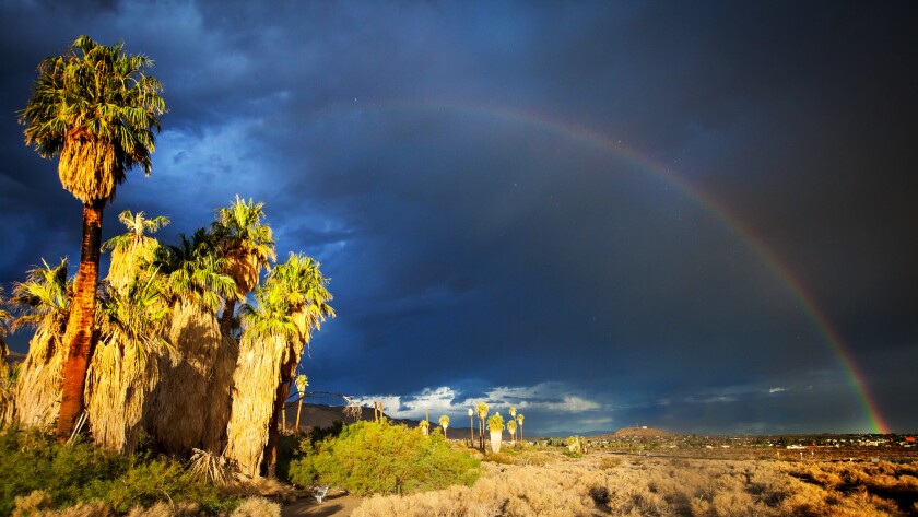 Bliv klar Prøve Afslut Mirages? No, these California desert oases are real yet magical - Los  Angeles Times