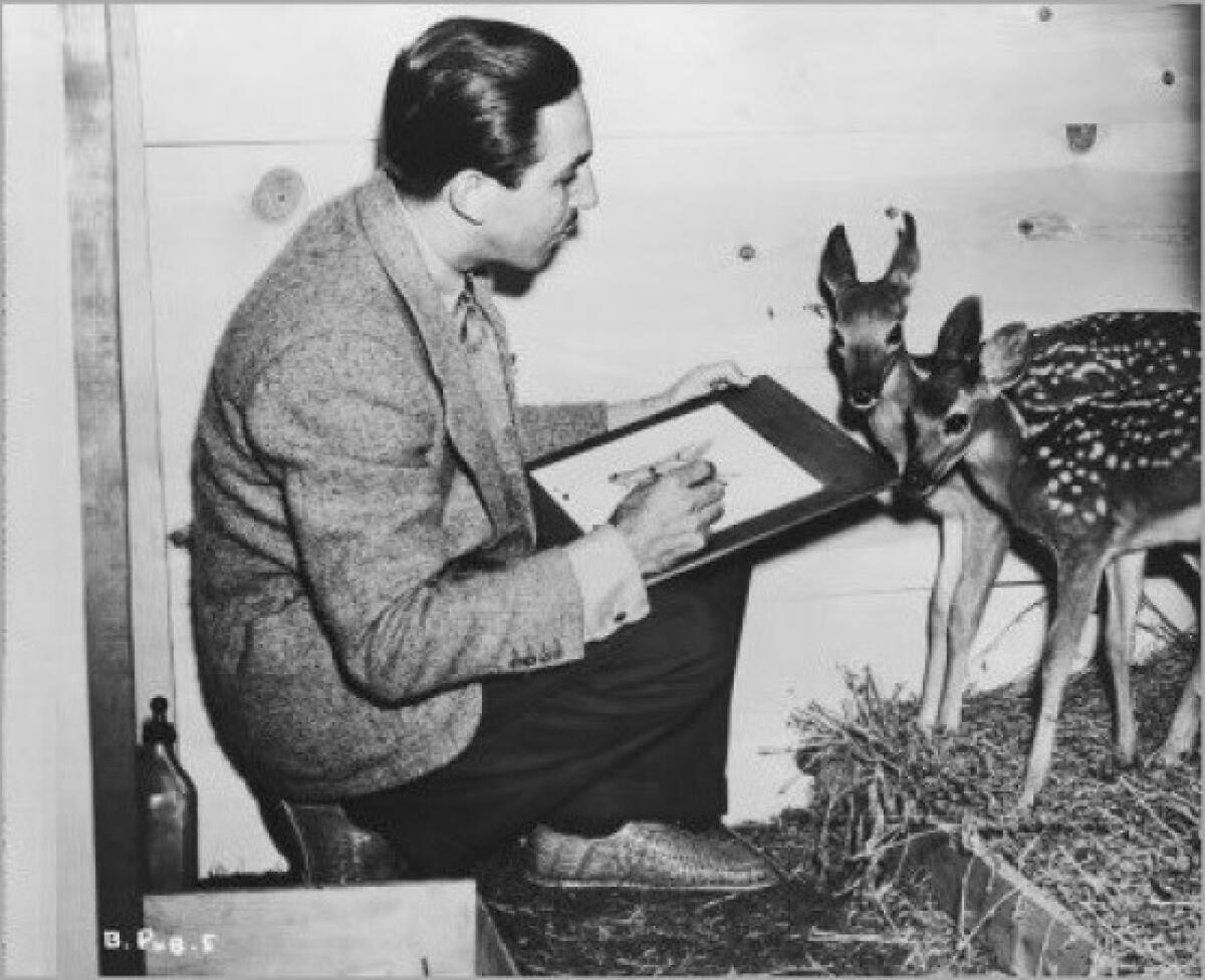 Walt Disney drawing a fawn. (Disney)