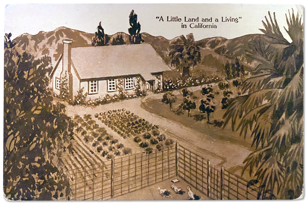 A postcard shows a single-story house, gardens and farmland, with the words "'A Little Land and a Living' in California."