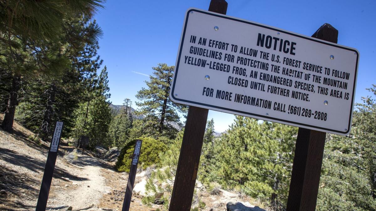 A sign denies access to Williamson Rock, one of Southern California's premier sport climbing areas until its closure to protect the endangered yellow-legged frog in December 2005, in the Angeles National Forest.
