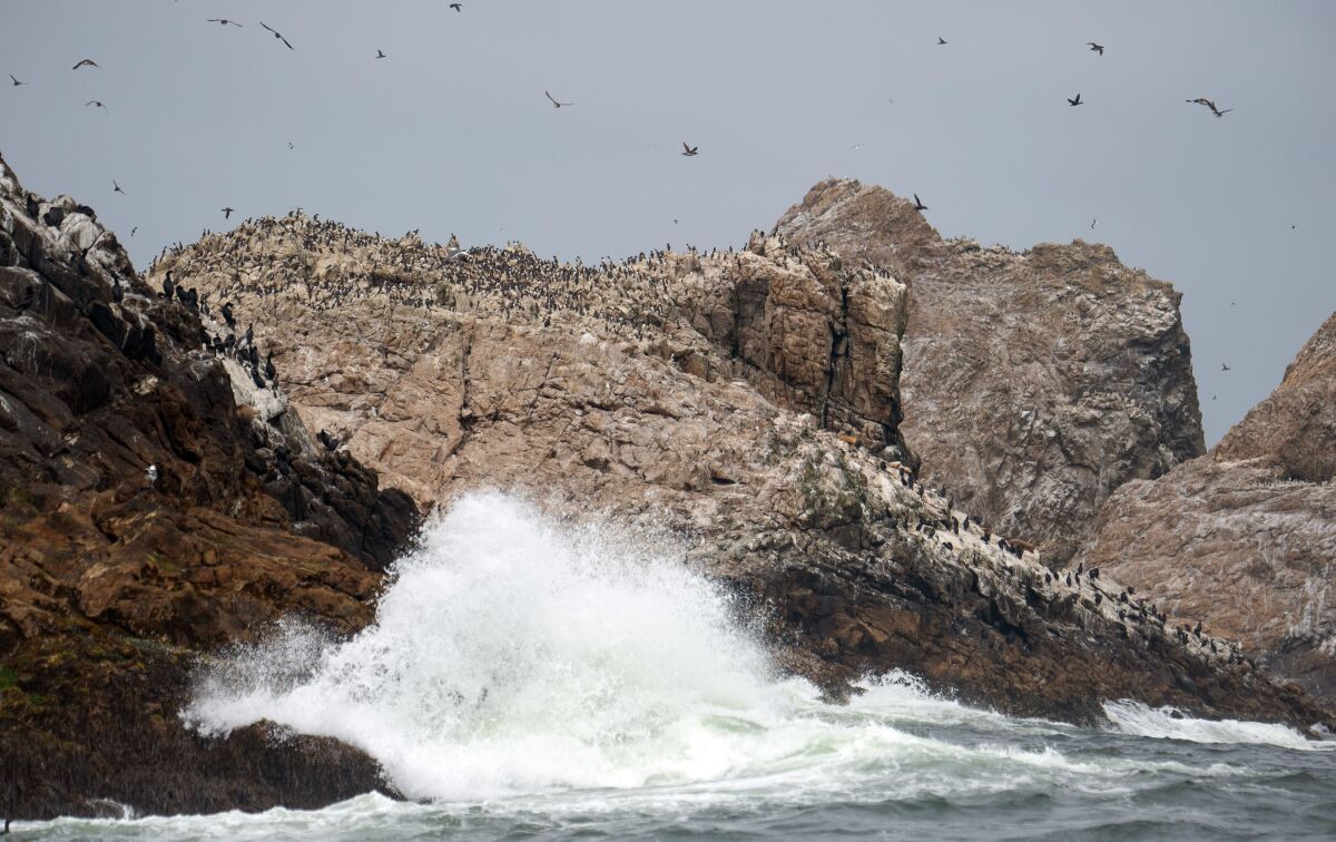 Waves hit a rocky coastline.